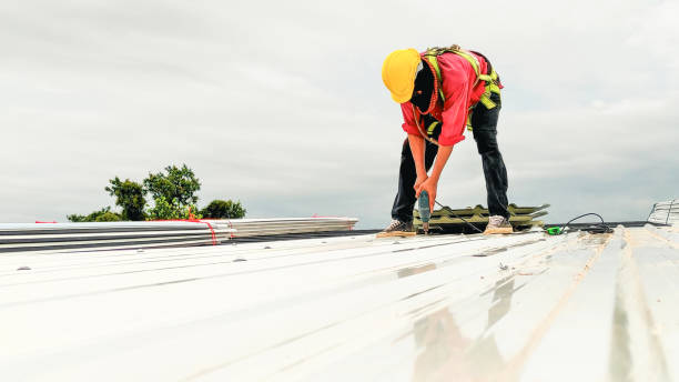 Commercial Roofing Services in Coloma, MI